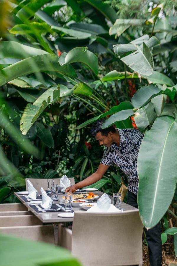 Villa Republic Bandarawela Ngoại thất bức ảnh
