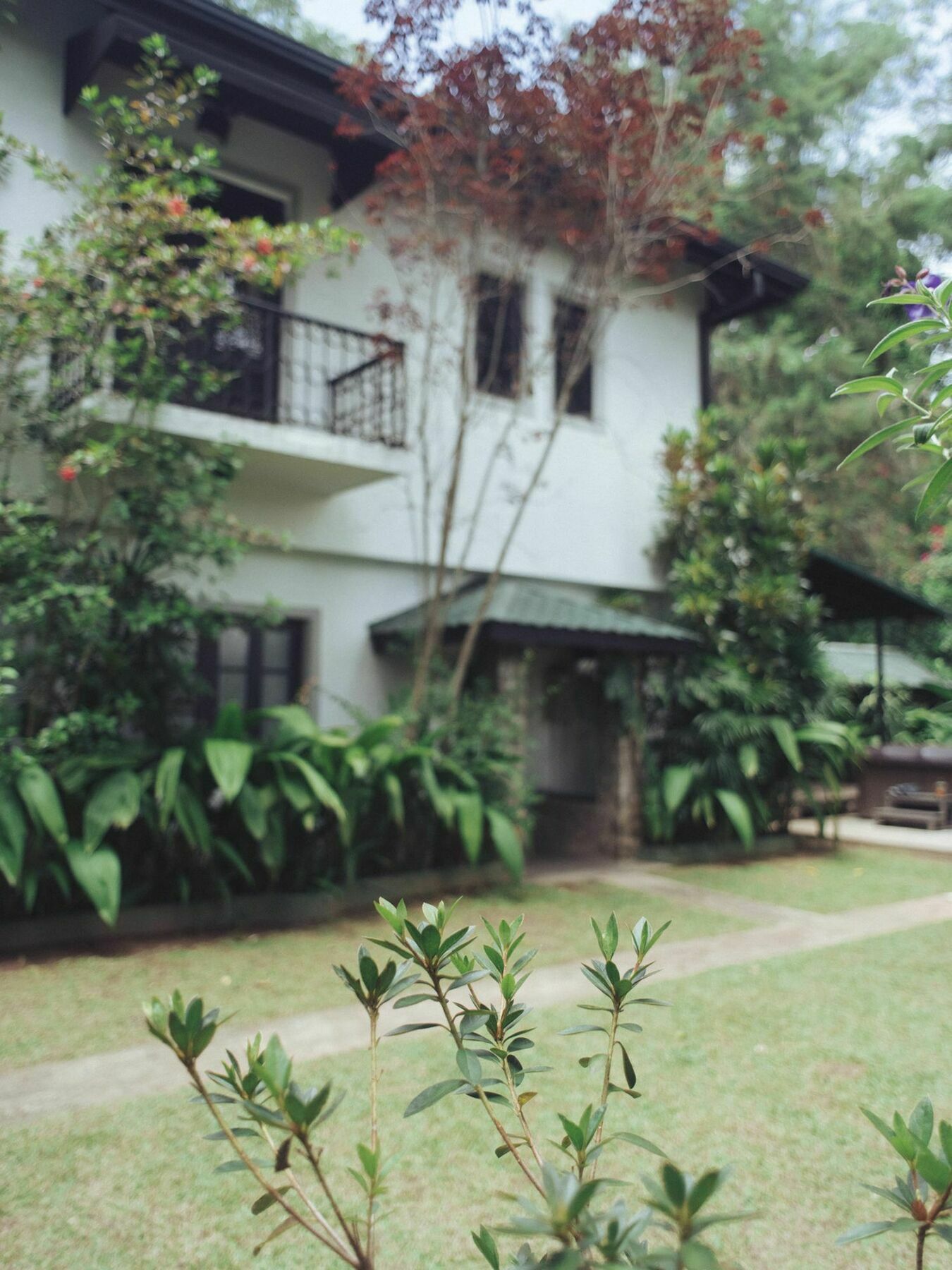 Villa Republic Bandarawela Ngoại thất bức ảnh