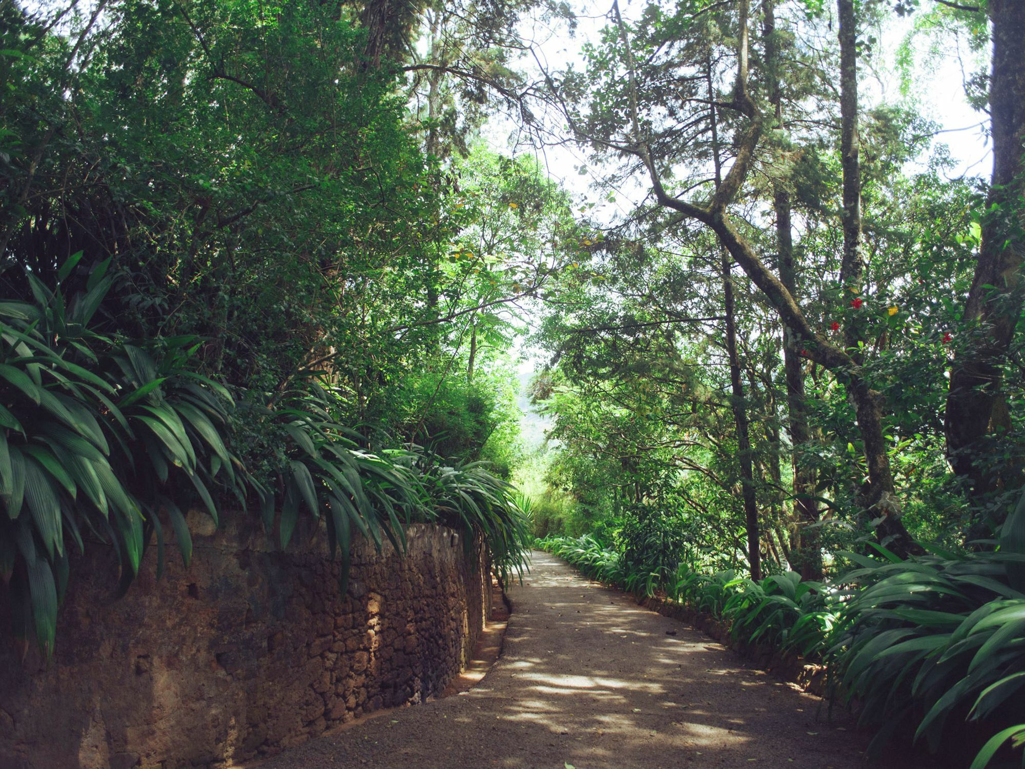 Villa Republic Bandarawela Ngoại thất bức ảnh